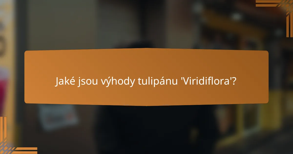 Jaké jsou výhody tulipánu 'Viridiflora'?