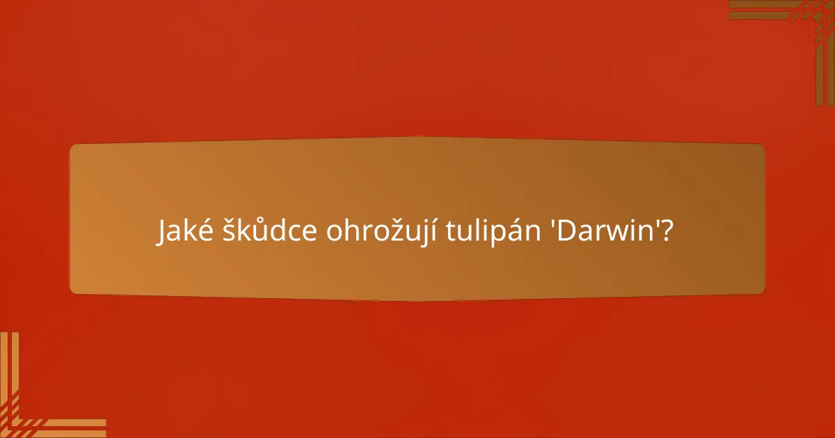Jaké škůdce ohrožují tulipán 'Darwin'?