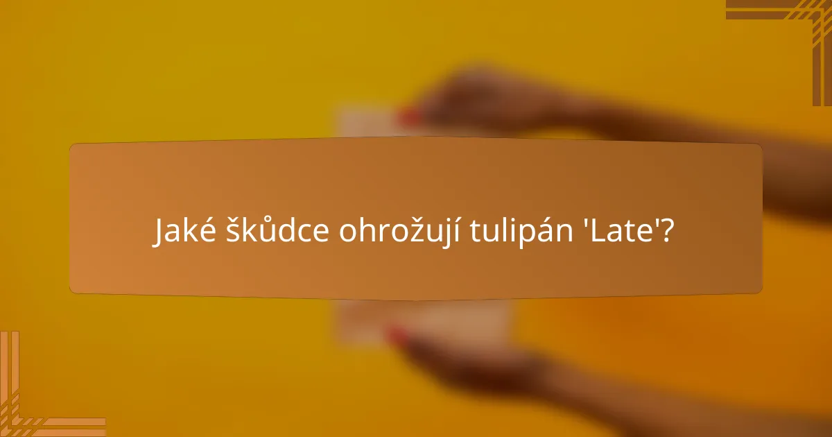 Jaké škůdce ohrožují tulipán 'Late'?