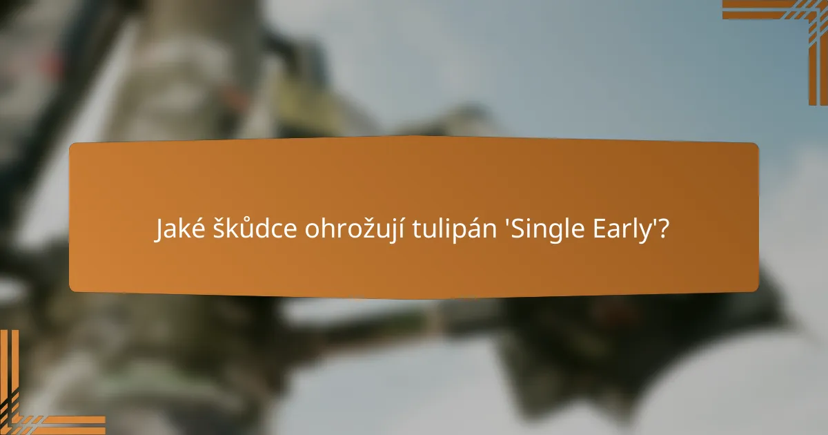 Jaké škůdce ohrožují tulipán 'Single Early'?