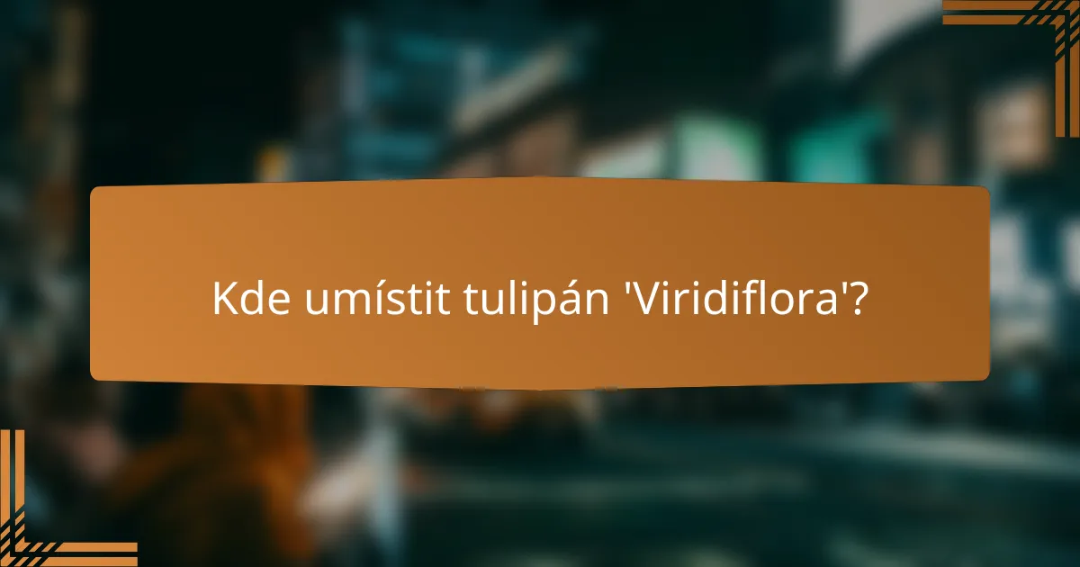 Kde umístit tulipán 'Viridiflora'?