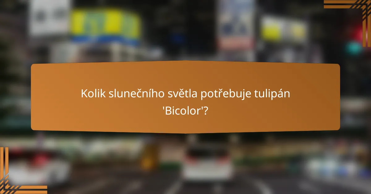 Kolik slunečního světla potřebuje tulipán 'Bicolor'?