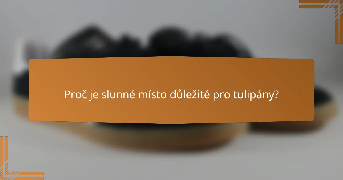 Proč je slunné místo důležité pro tulipány?